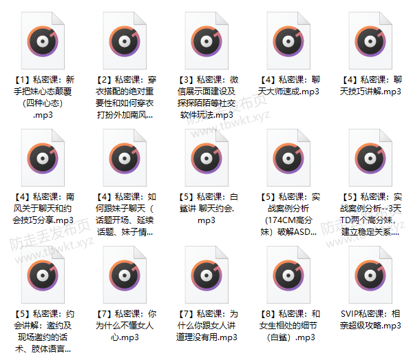 南风信仰情感挽回课 音频课程