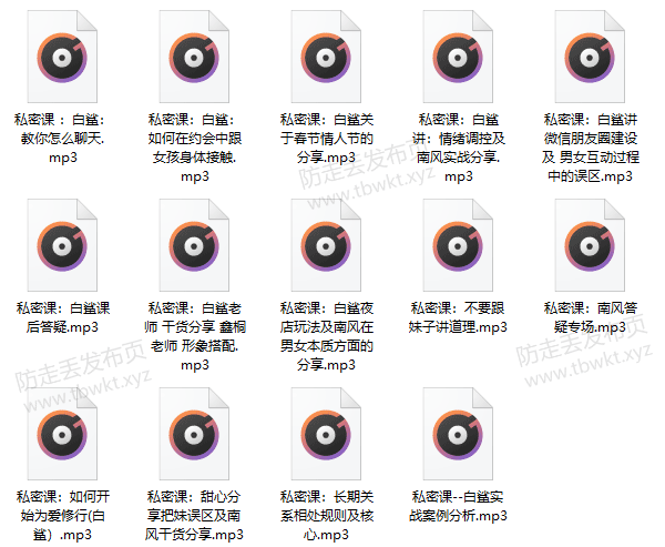南风信仰情感挽回课 音频课程