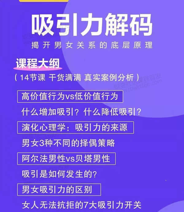 走向阿尔法《吸引力解码》视频课程