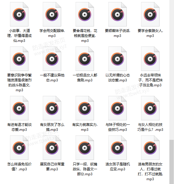 陈昌文《恋爱宝典》音频+PDF电子书课程