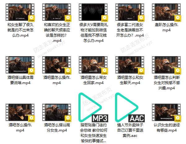 绅士派《熊猫内部课》音频课程